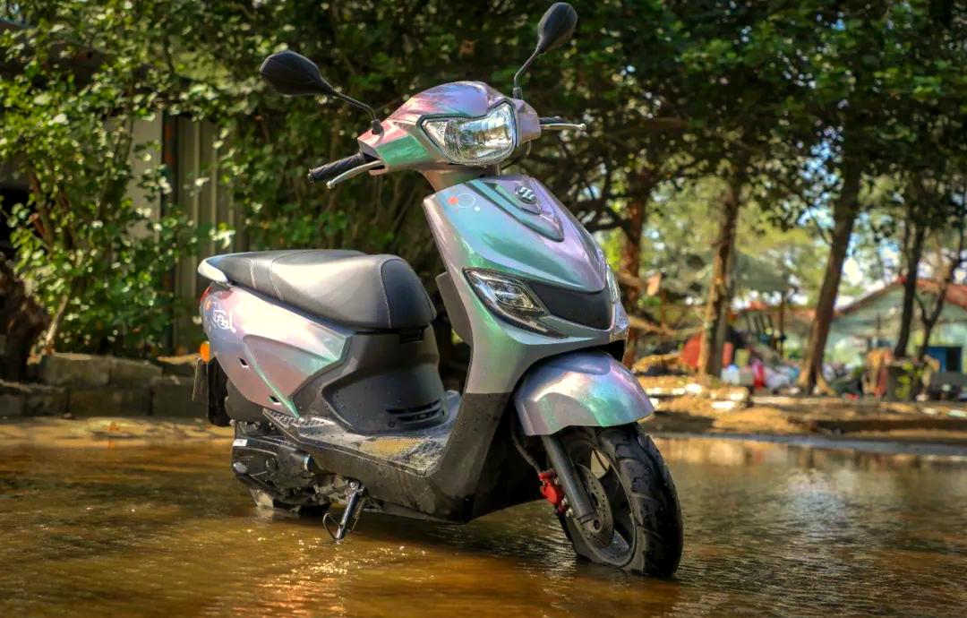 B体育体育培训-关于海豚表现出色，球队稳步迈进季后赛的信息